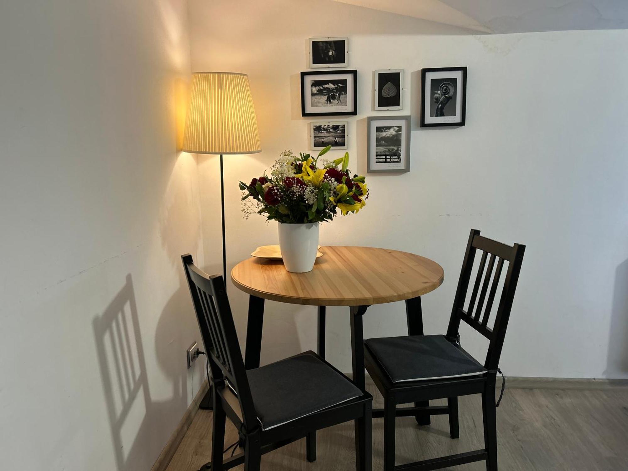 Apartment Oina 21 Cluj-Napoca
